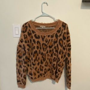 Wonderly Fuzzy Eyelash-Knit Sweater